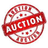 asta online - online auction