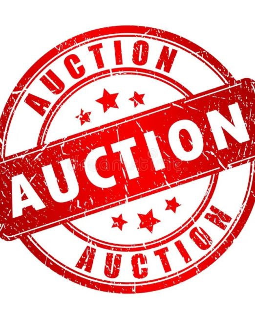 asta online - online auction